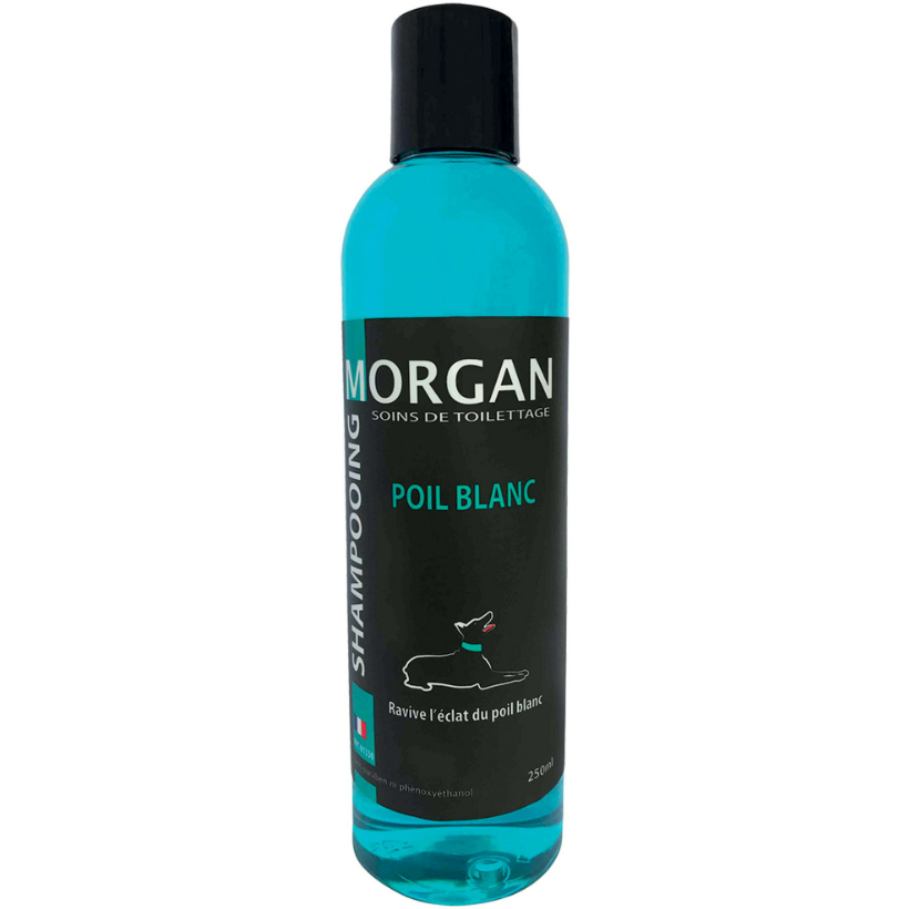 Shampoing Morgan Poil Blanc 250 ML