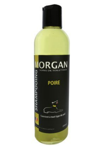 Shampoing Morgan Poire 250 ML