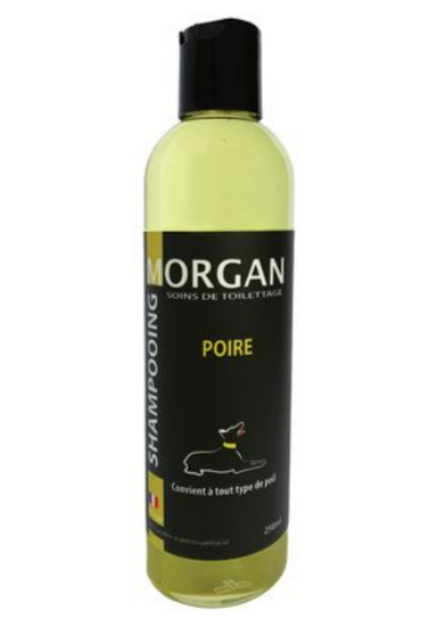 Shampoing Morgan Poire 250 ML