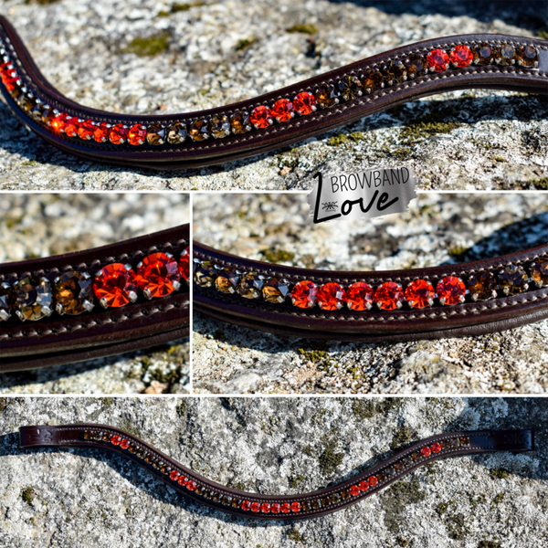 Ssuses Rred Cchocolate