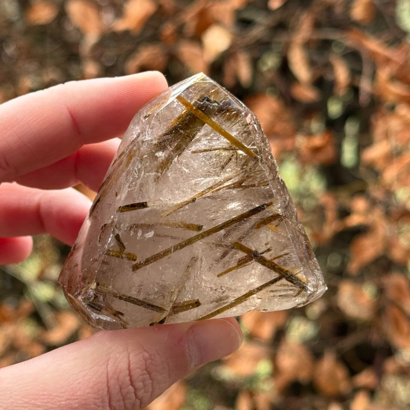 Rutiel in Kwarts Punt