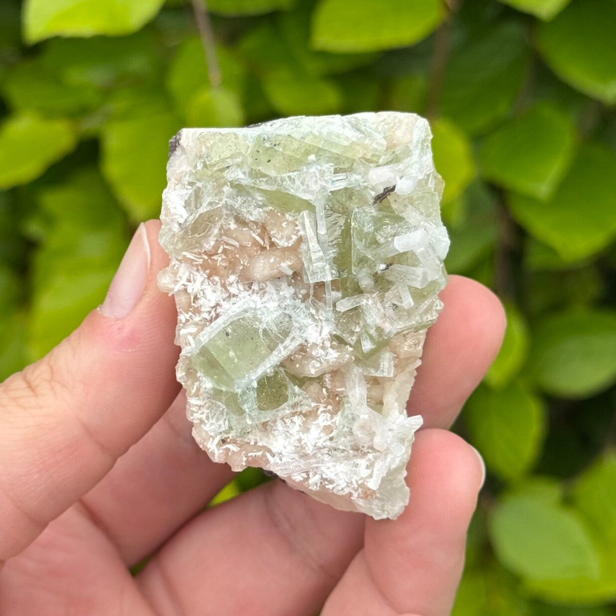 Groene Apofyliet met Stilbiet en Scoleciet - #IM5