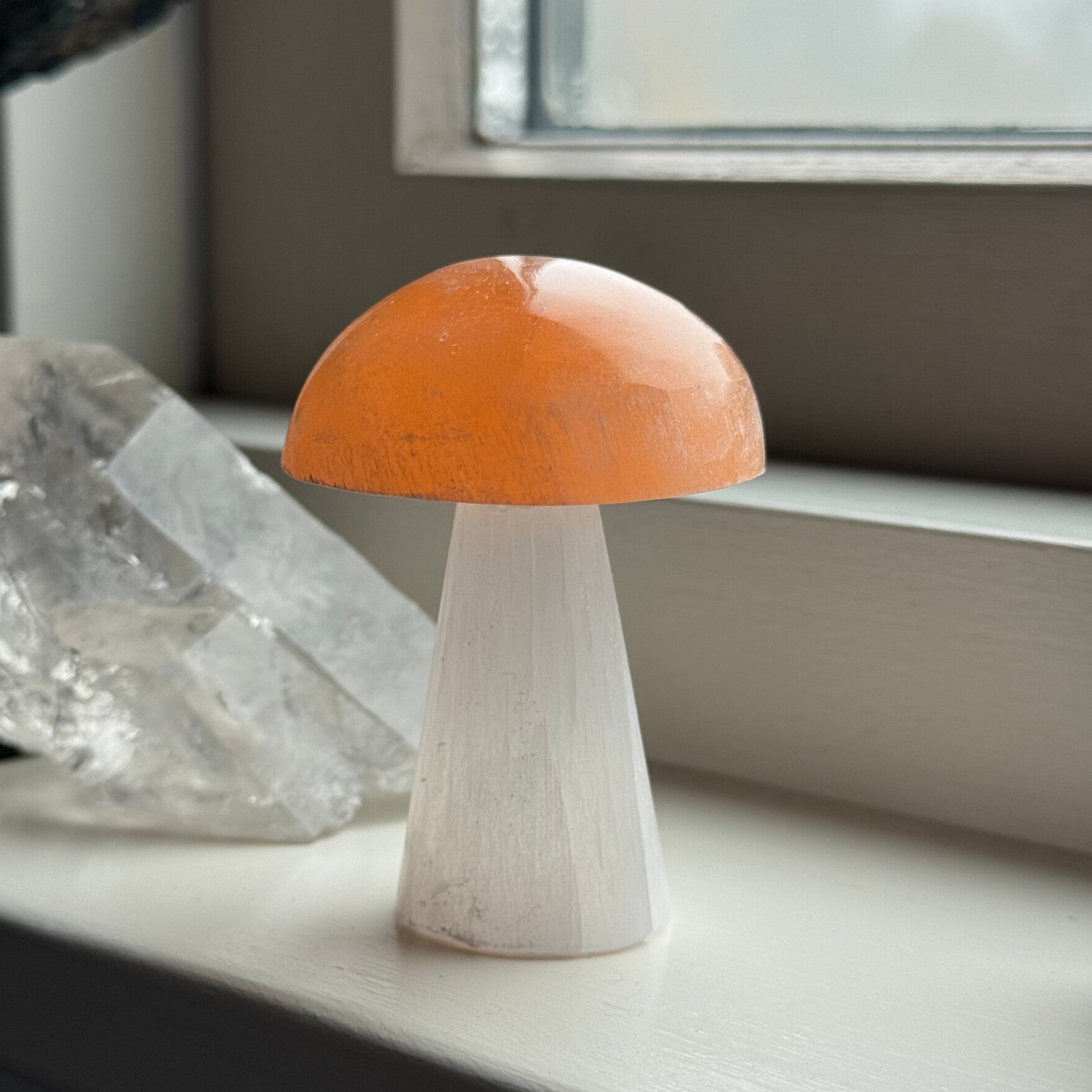 Seleniet Paddenstoel 2 Kleurig