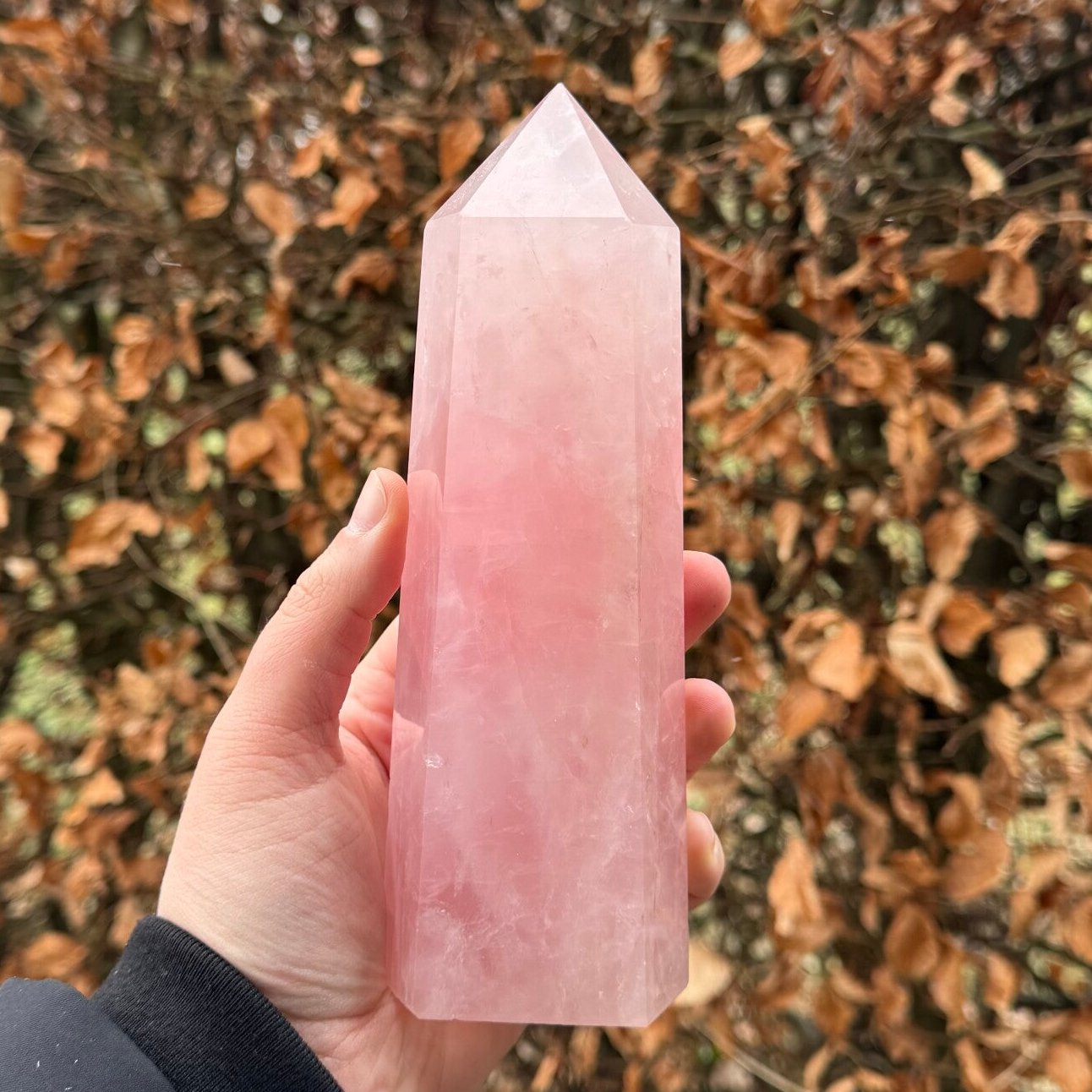 Grote Rozenkwarts Punt