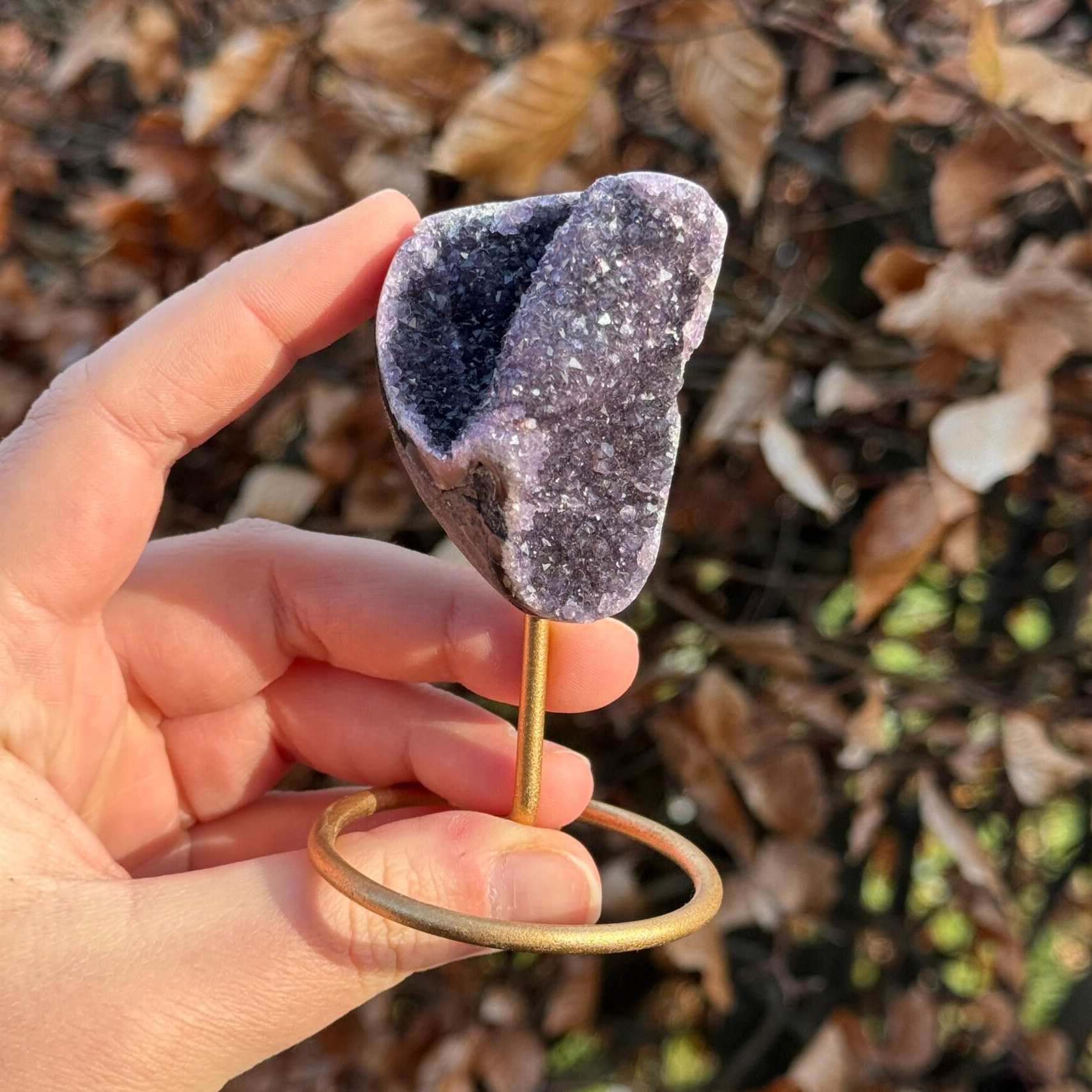 Amethist op Pin