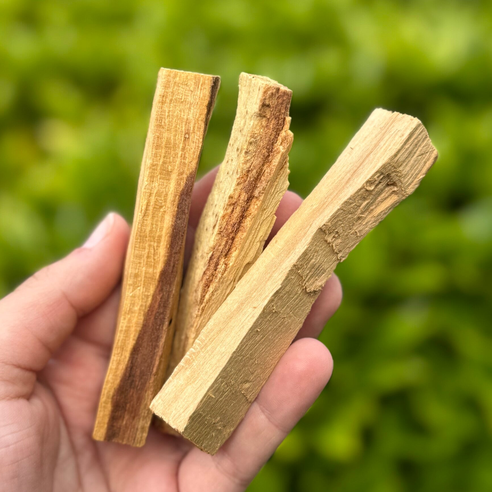 Palo Santo