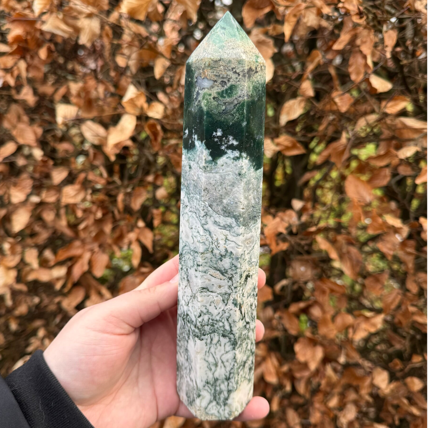 XL Punt van Boomagaat met Mosagaat