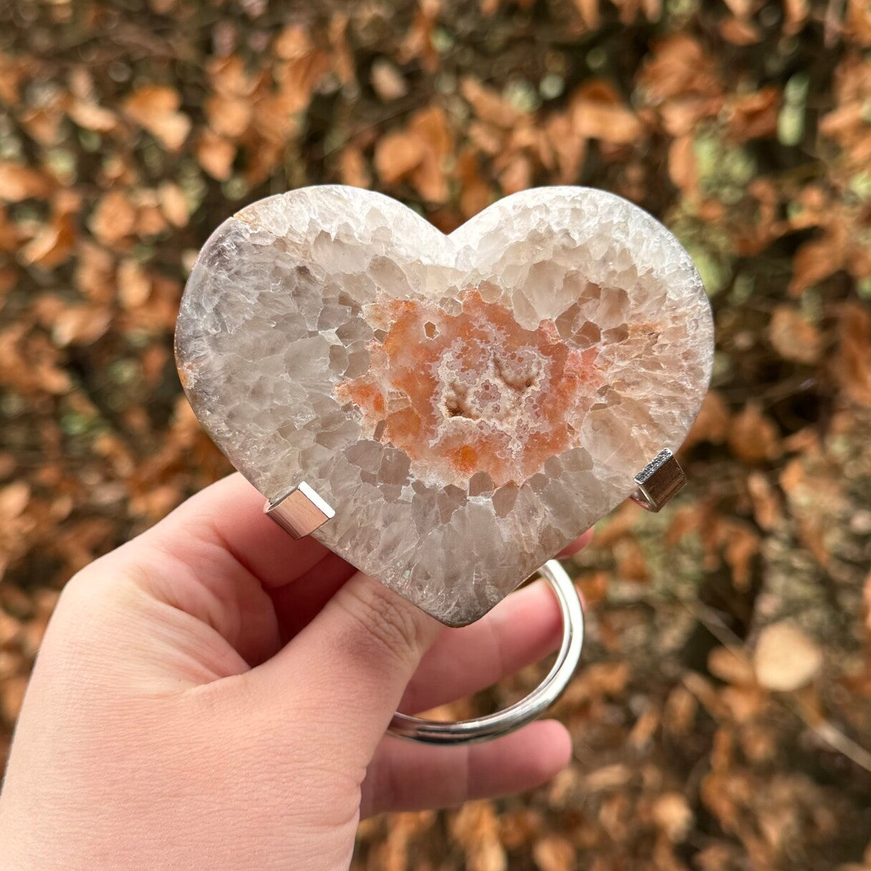 Agaat Hart op Standaard