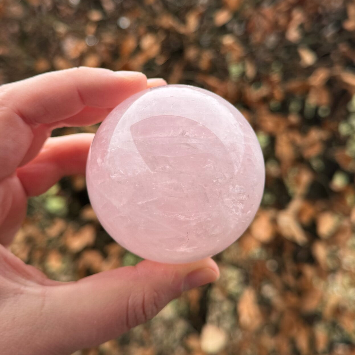 Rozenkwarts Bol - 61mm