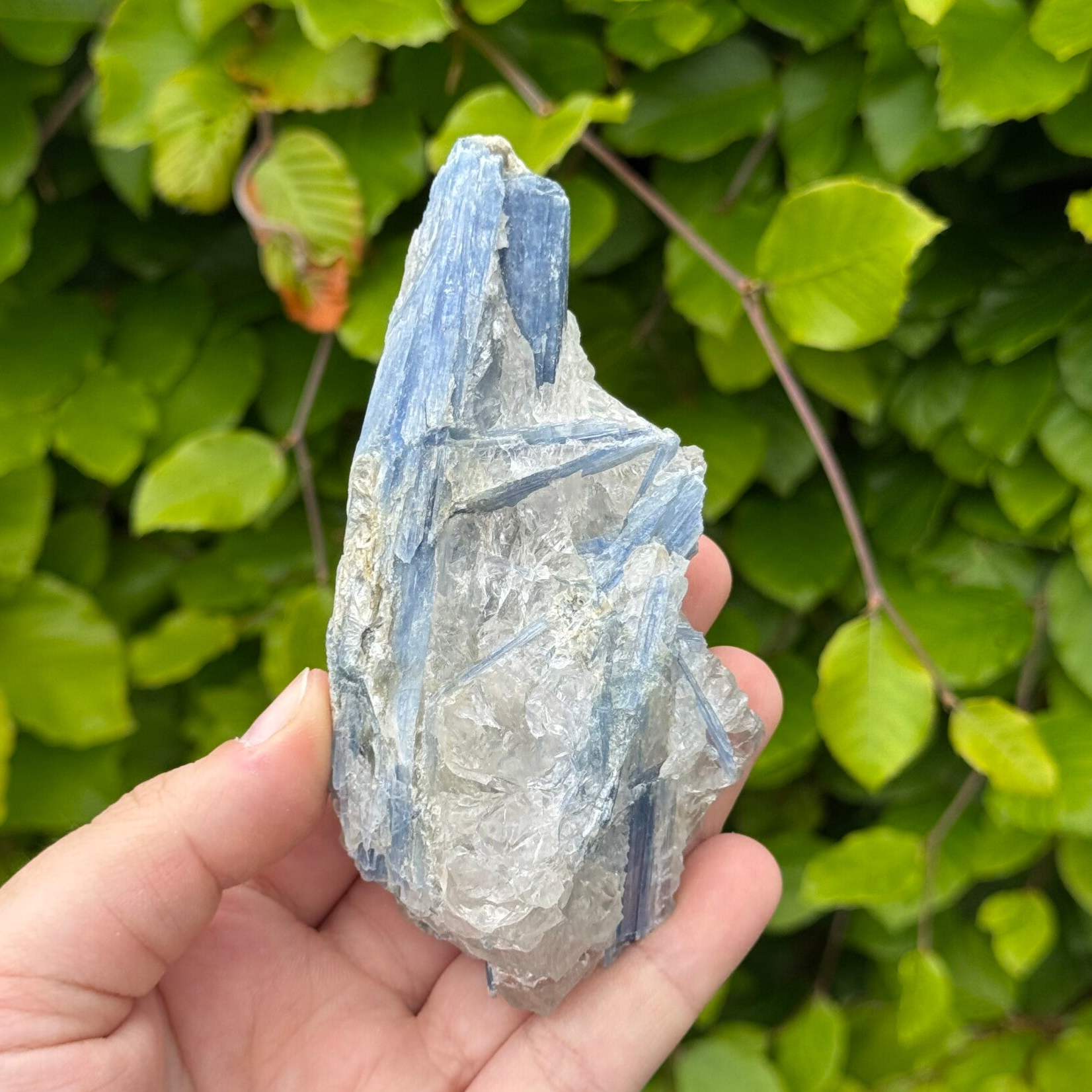 Blauwe Kyaniet in Kwarts