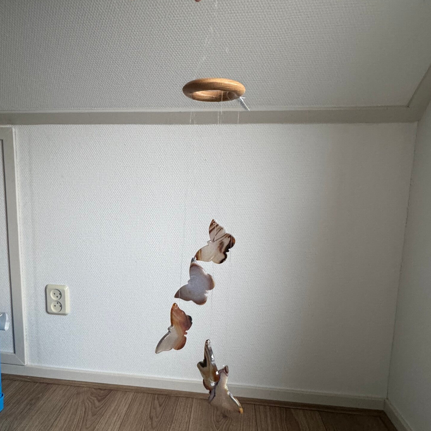 Windhanger Vlinders Agaat