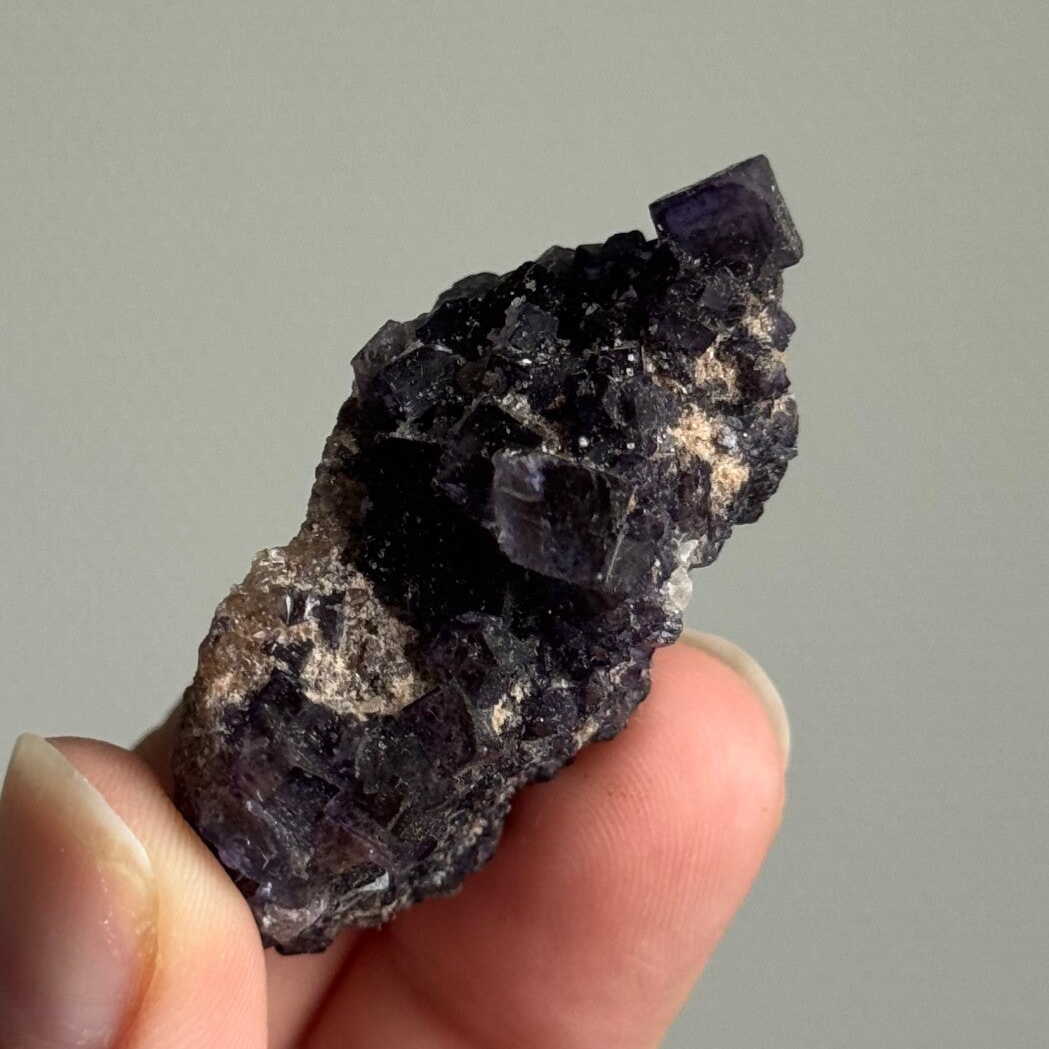 Fluoriet Specimen Ruw - #FS2