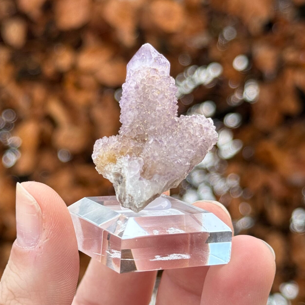 Spirit Kwarts/Cactus Amethist op Voetje