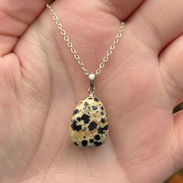 Dalmatiër Jaspis Gezondheidshanger