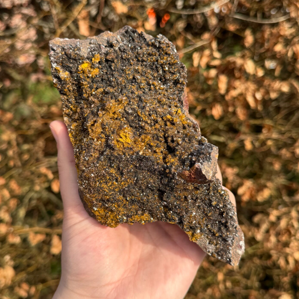 Manganiet Cluster - #MA7