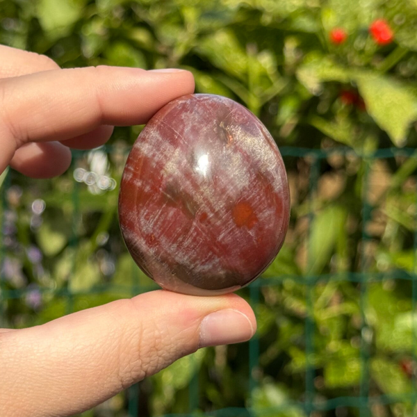 Versteend Hout Handsteen - #HS38