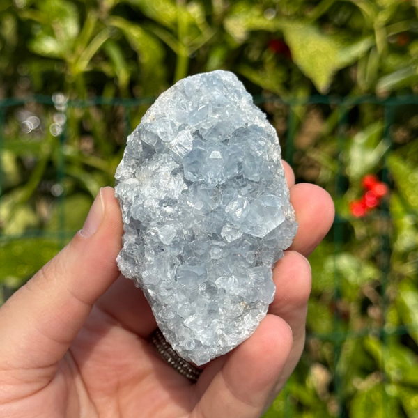 Celestien Cluster - #CC2