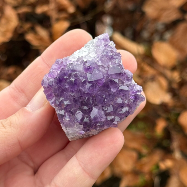 Amethist Cluster - #A5