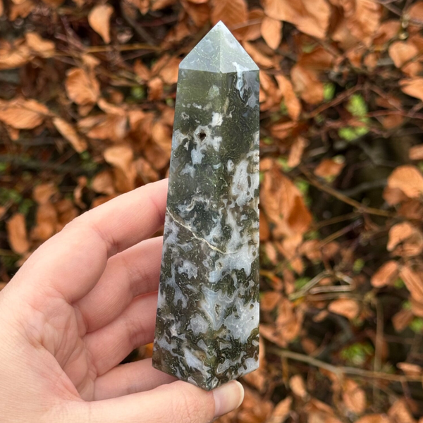 Mosagaat Punt uit India - #3