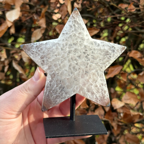 Agaat Ster op Standaard