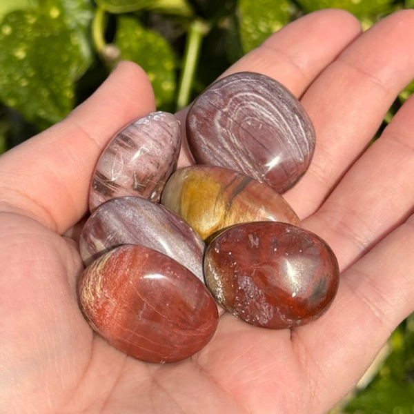 Versteend Hout Zaksteen