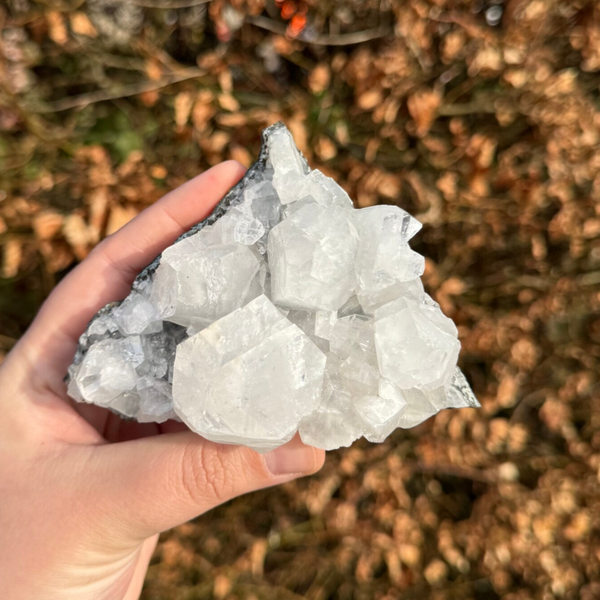 Spiegelapofyliet Cluster - #IM11