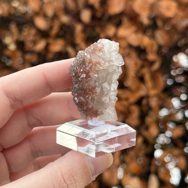 Kwarts met Fluoriet en Hematiet op Voetje