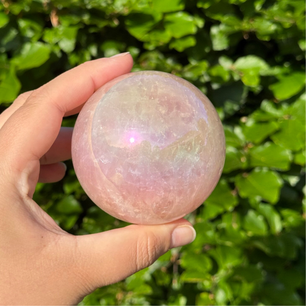 Rozenkwarts met Aura - 71MM