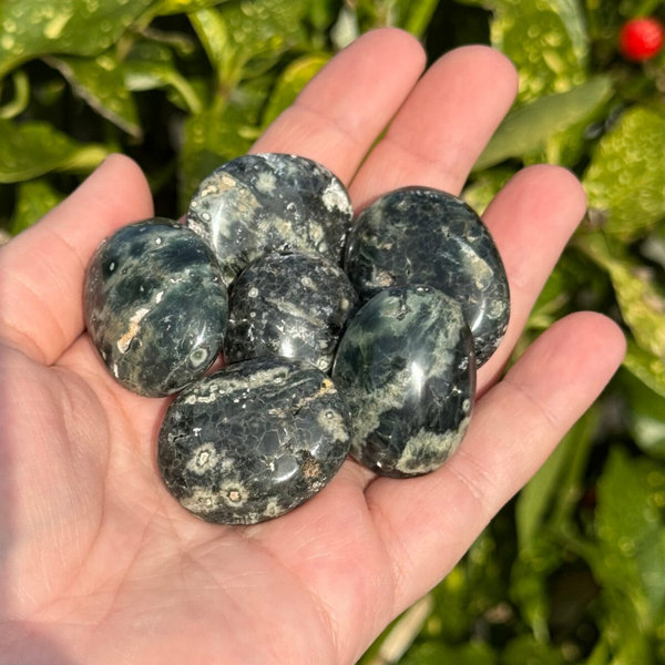 Groene Oceaan Jaspis Zaksteen