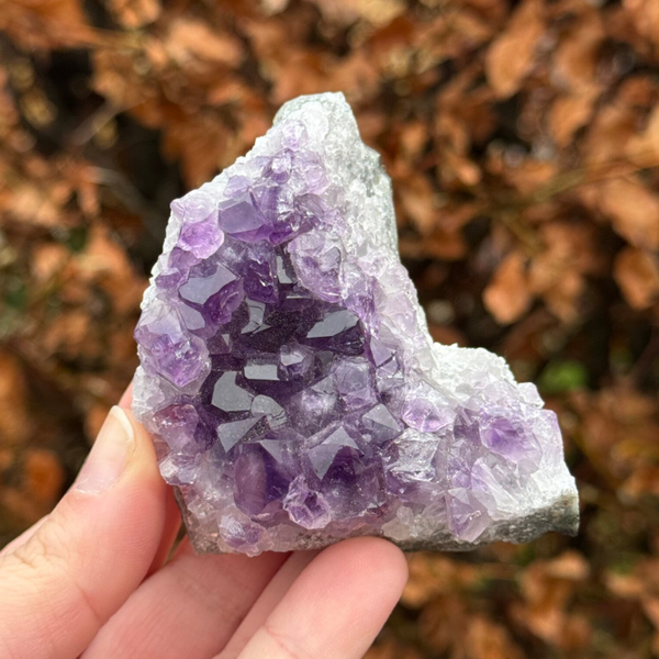 Amethist Cluster - #A10