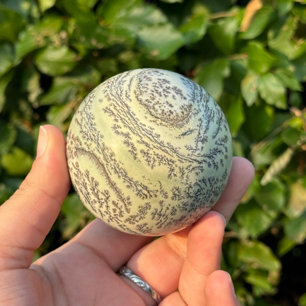 Unieke Jaspis bol met Dendriet