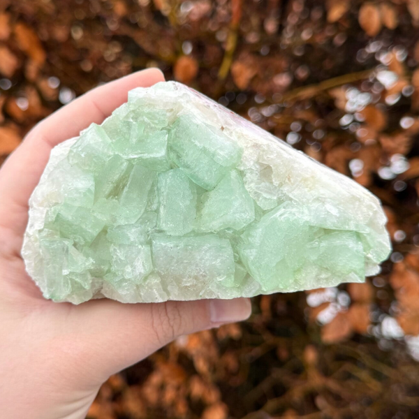 Groene Apofyliet Cluster - #IM4