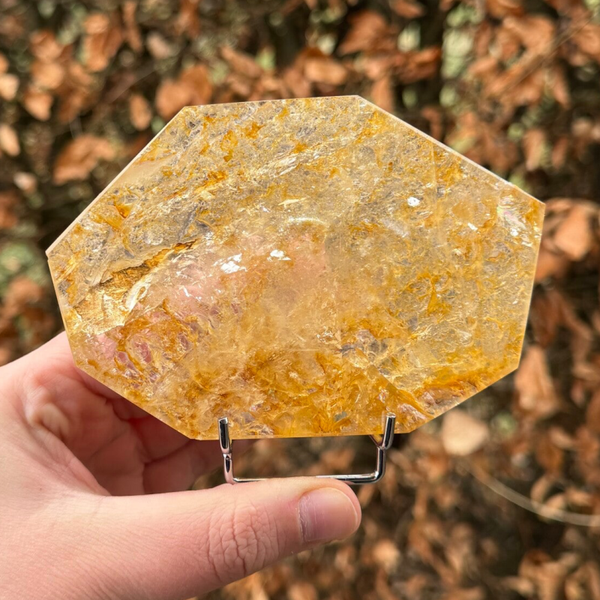 Gepolijste Golden Healer op Standaard