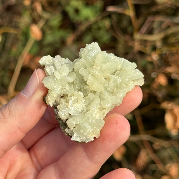 Marokkaanse Prehniet - #P6