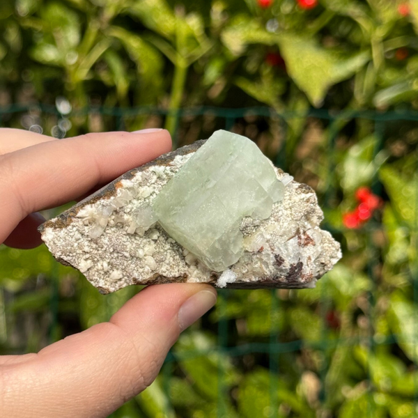 Groene Apofyliet op Witte Heulandiet #IM8