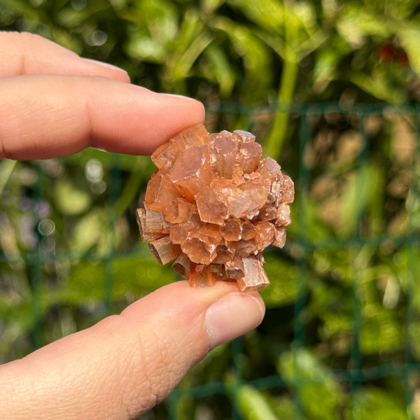 Aragoniet Roosje - #AR2