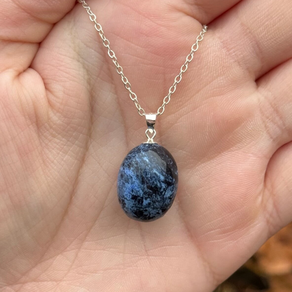 Dumortieriet Gezondheidshanger