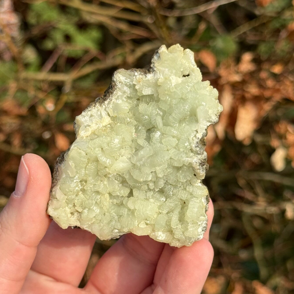 Marokkaanse Prehniet - #P7