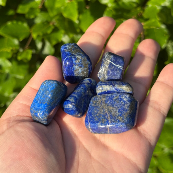 Lapis Lazuli Trommelsteen