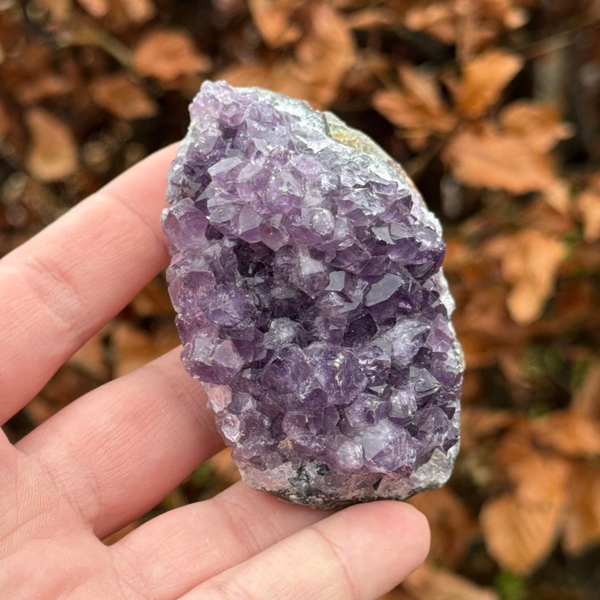 Amethist Cluster - #A8