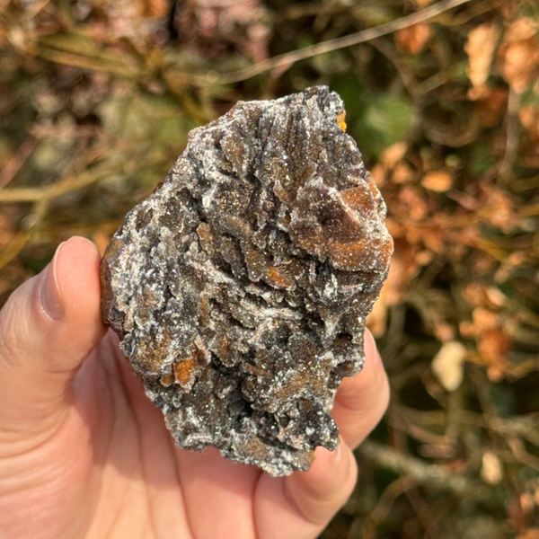 Manganiet Cluster - #MA2