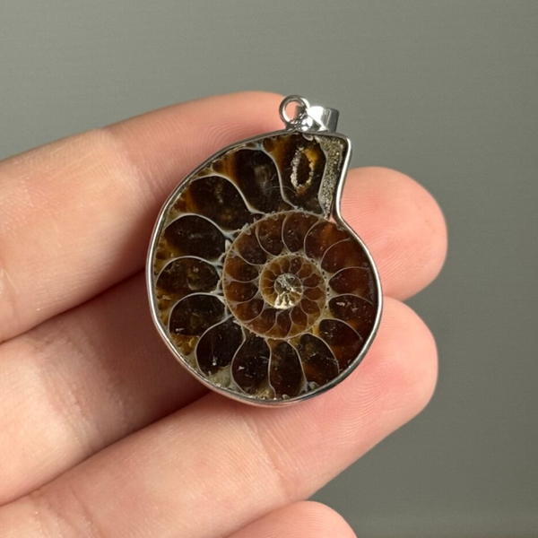 Ammoniet Hanger Irriserend - #AHI02