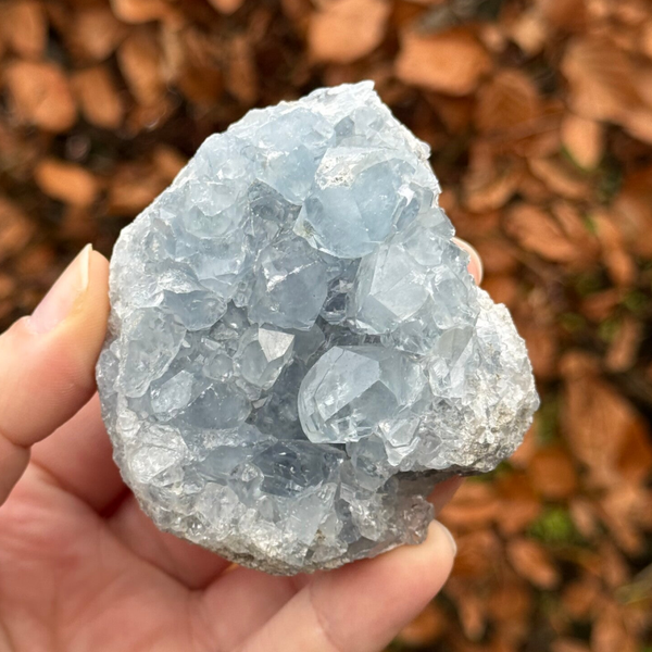 Celestien Cluster - #1