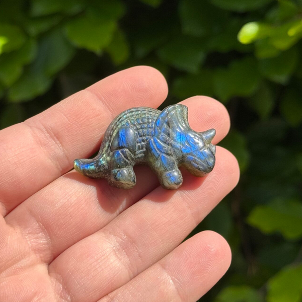 Labradoriet Dino