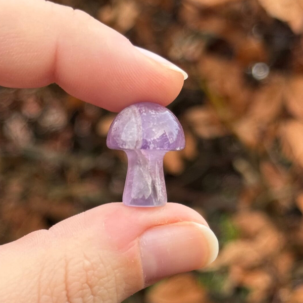 Amethist Paddenstoel