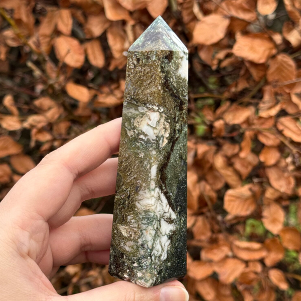 Mosagaat Punt uit India - #1