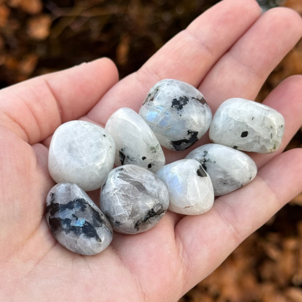 Regenboog Maansteen Trommelsteen