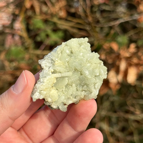 Marokkaanse Prehniet - #P3