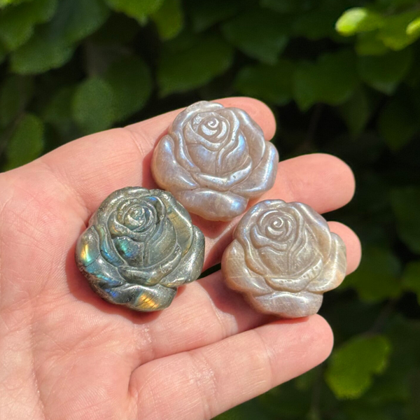 Roos Carving - kies zelf welke!