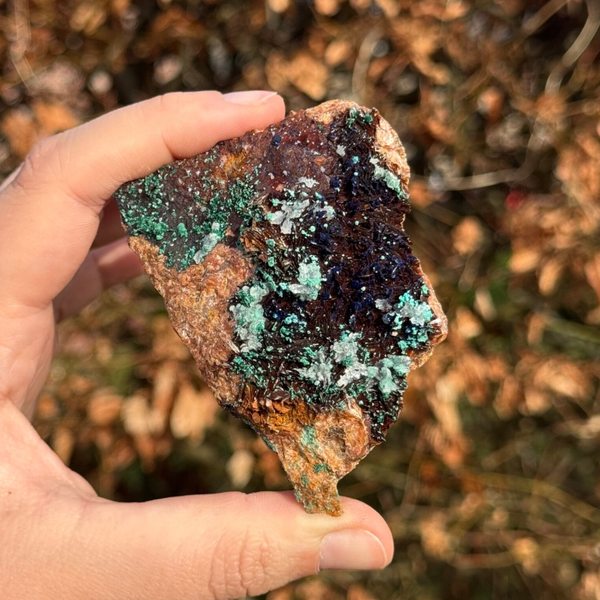 Malachiet met Azuriet Cluster